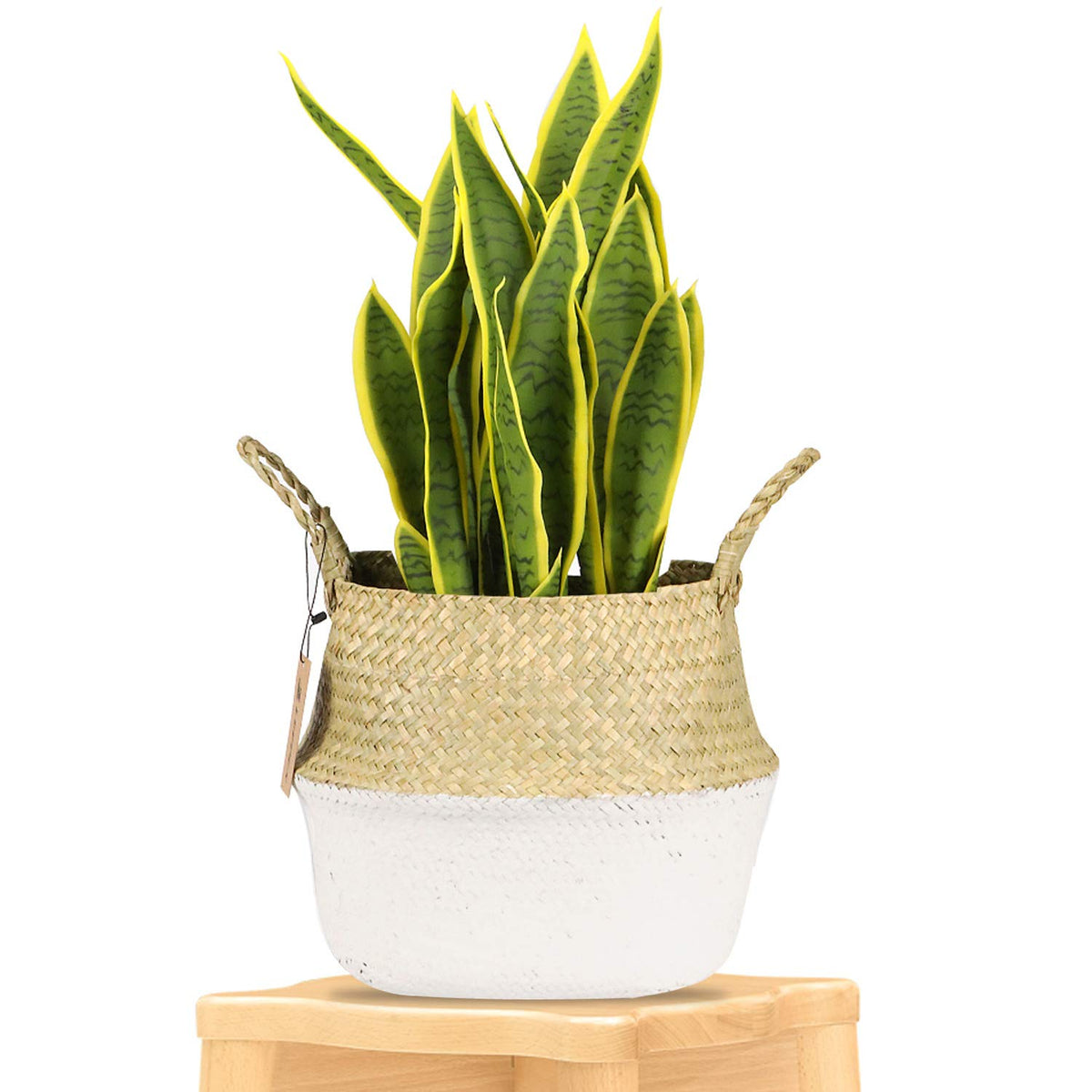 woven plant holder LEEPES Seagrass Plant Basket Indoor Woven Planter Holder – Pete's Home  Decor & Furnishings