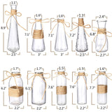 Nilos Glass Vases Set of 10, Clear Glass Flower Vase