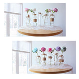 Nilos Glass Vases Set of 10, Clear Glass Flower Vase