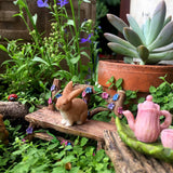 PRETMANNS Fairy Garden Fairy Accessories – Miniature Fairy Figurine & Furniture