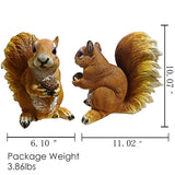 SHXH Garden Statue Ornaments Polyresin Cute Squirrel Indoor Outdoor Sculpture Ornaments Yard Art Figurines