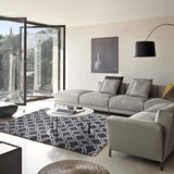 YJ.GWL Soft Indoor Large Modern Area Rugs Shaggy Patterned Fluffy Carpets Suitable for Living Room and Bedroom