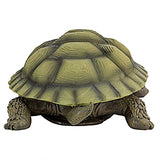Design Toscano QM1887611 Gilbert The Box Turtle Garden Decor Animal Statue, 9 Inch, Full Color