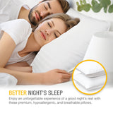 DreamNorth PREMIUM Gel Pillow Loft (Pack of 2) Luxury Plush Gel Bed Pillow