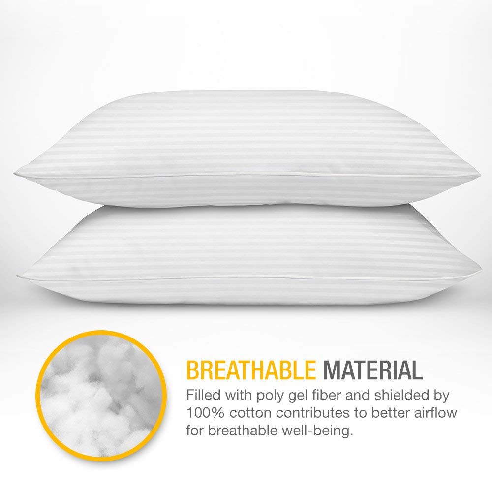 Dream north pillow top