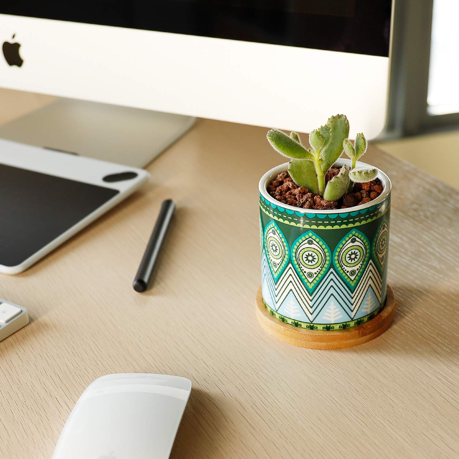 greenaholics succulent plant pots Greenaholics Succulent Plant Pots