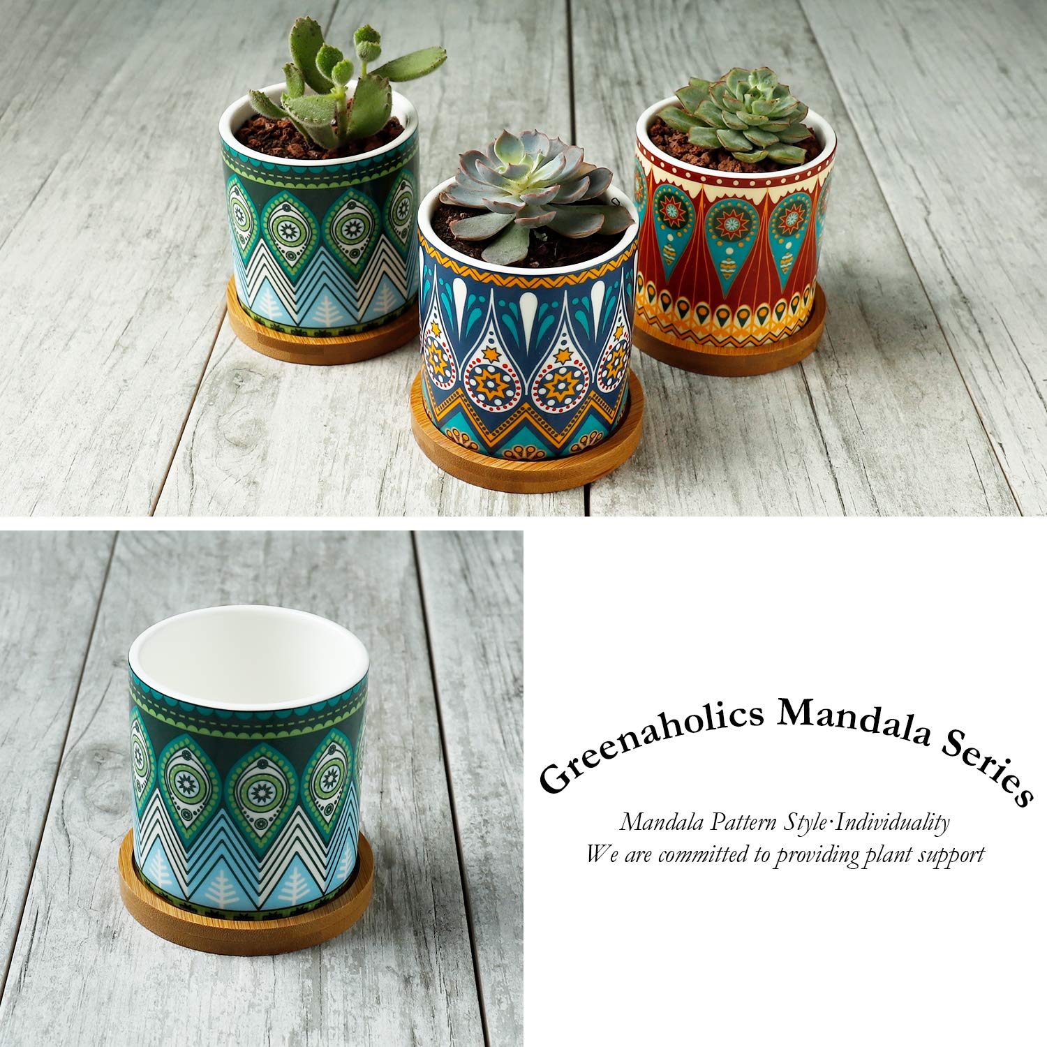 3 inch ceramic flower pots Greenaholics Succulent Plant Pots