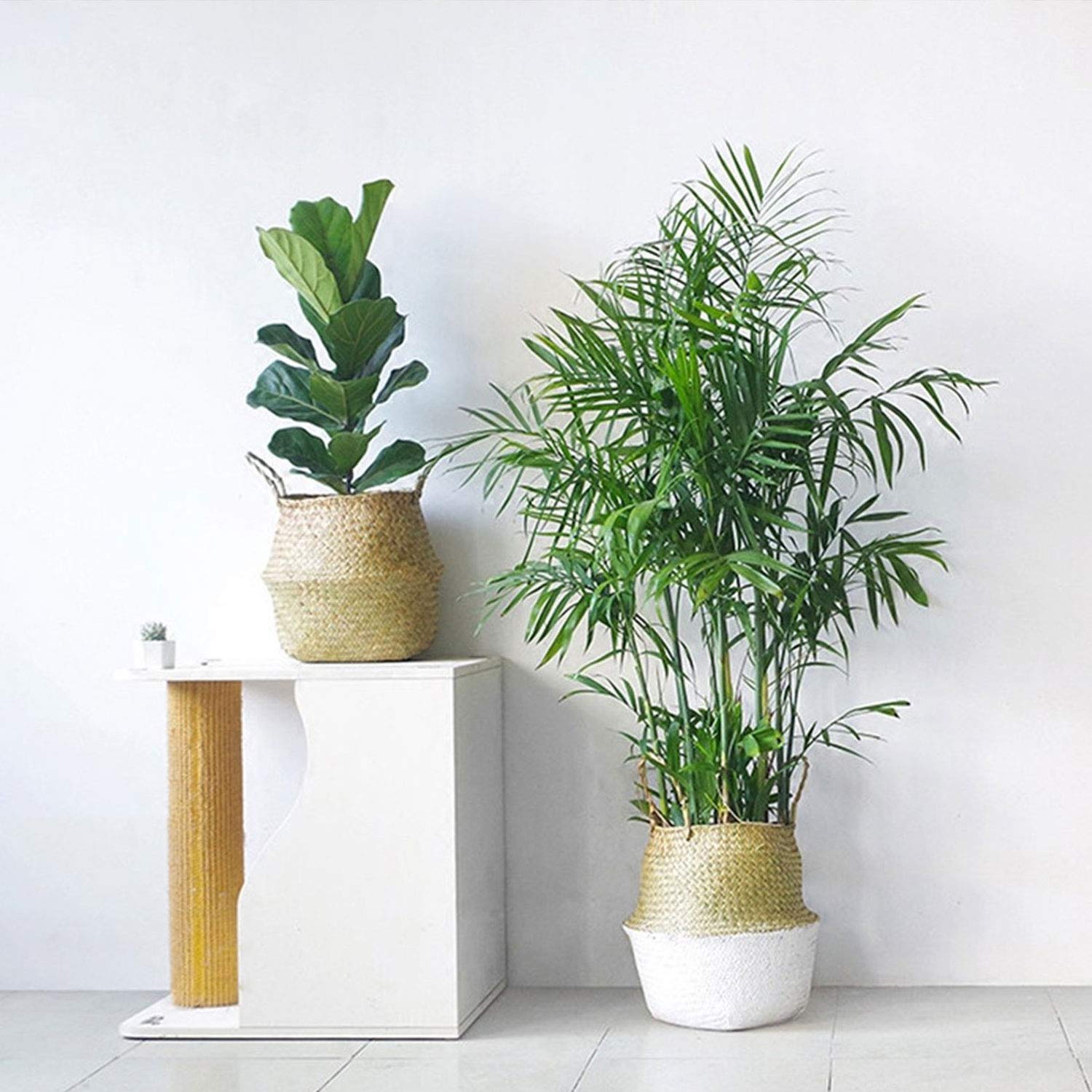 seagrass indoor plant pots LEEPES Seagrass Plant Basket Indoor Woven Planter Holder – Pete's Home  Decor & Furnishings