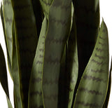 Nearly Natural 4855 35in. Sansevieria with Black Planter