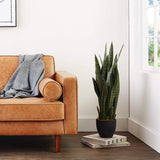Nearly Natural 4855 35in. Sansevieria with Black Planter