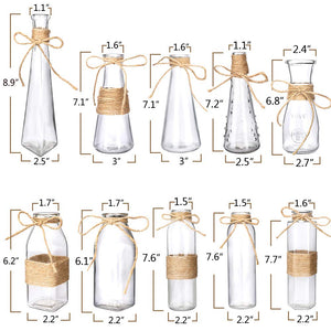 Nilos Glass Vases Set of 10, Clear Glass Flower Vase