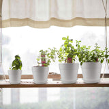 HOMENOTE 7/6.5/5/3.7 inch Plastic Planters Indoor Set of 4