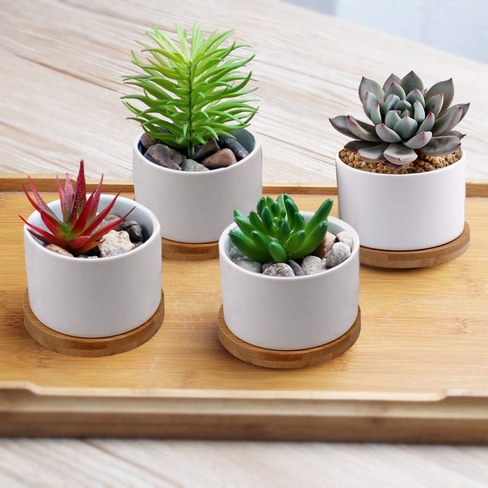 succulent pots with tray Succulent Pots, ZOUTOG White Mini 3.15 inch Ceramic Flower Planter Pot –  Pete's Home Decor & Furnishings