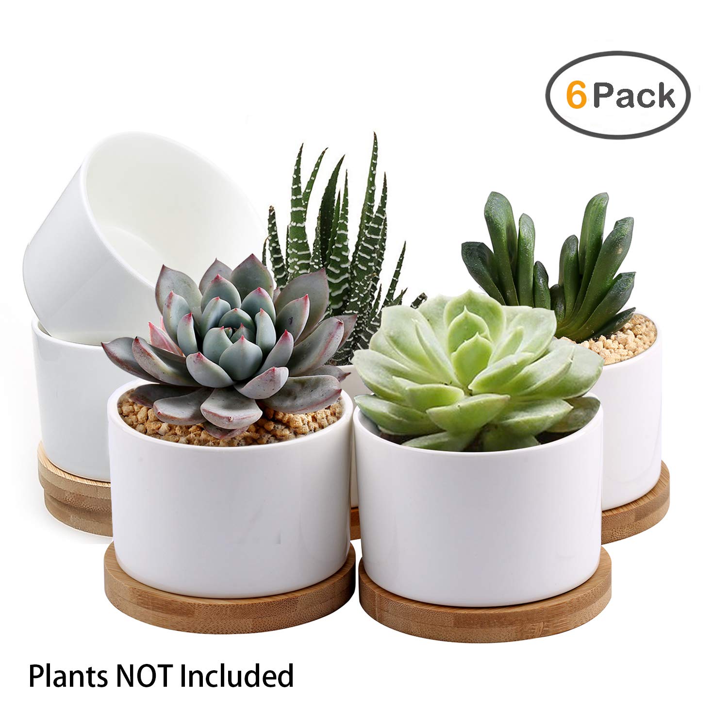 mini white succulent pots Succulent Pots, ZOUTOG White Mini 3.15 inch Ceramic Flower Planter Pot – Pete's Home Decor & Furnishings